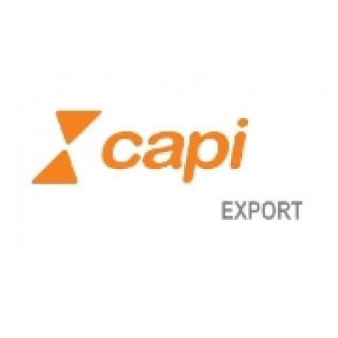 Groupe CAPI