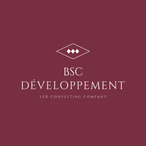 BSC DEVELOPPEMENT