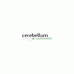 Cerebellum Automation