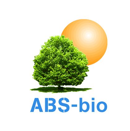 Abs international