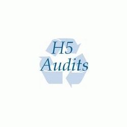 H5 Audits