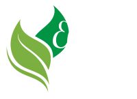 logo entreprise Elégance Création