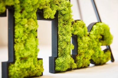 logo végétal naturel