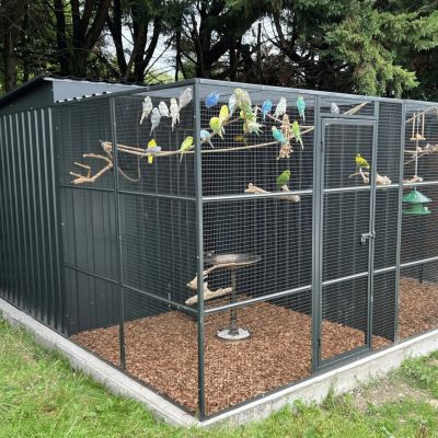 Volière Colony & Co