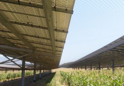 Volière Technique Solaire