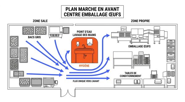 Plan marche en avant centre emballage œufs