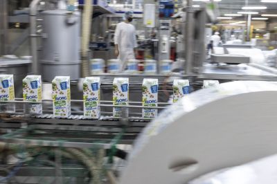 production boisson végétale production boisson végétale