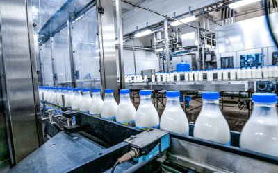 production de lait production de lait