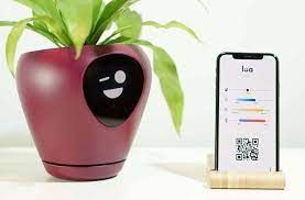 Combien coûte un pot de fleurs connecté ? Combien coûte un pot de fleurs connecté ?