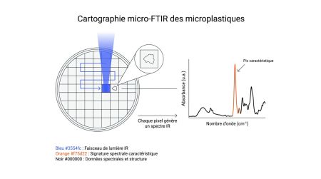 Cartographie micro-FTIR des microplastiques