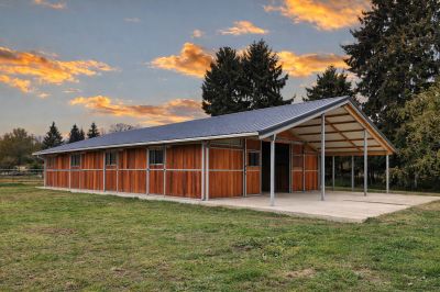 barn cheval liberté