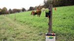 Clôture électrique avec fils conducteurs