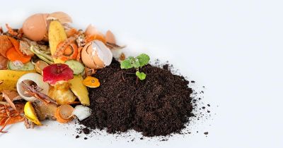 compost
