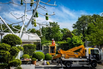 Salti camion nacelle ornement jardin