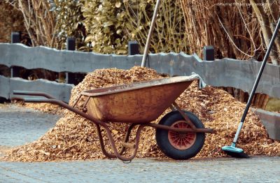 BROUETTE AGRICOLE FOURRAGERE VERTE ROUE PLEINE INCREVABLE