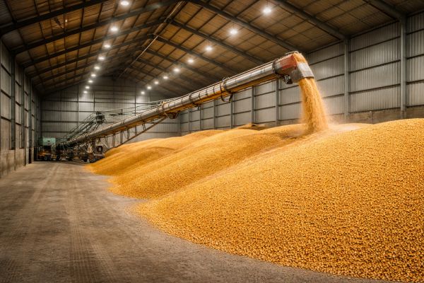 stockage à plat de cereale dans un batiment