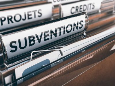 subvention gouvernementale subvention gouvernementale
