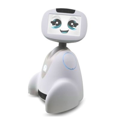 robots de compagnie robots de compagnie