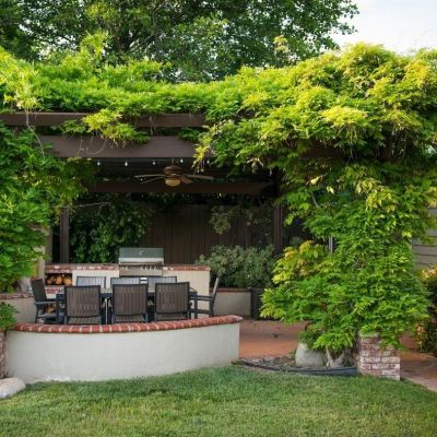 pergola végétalisée