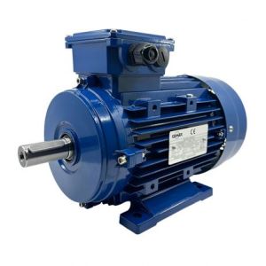 Combien coûte un moteur électrique ?