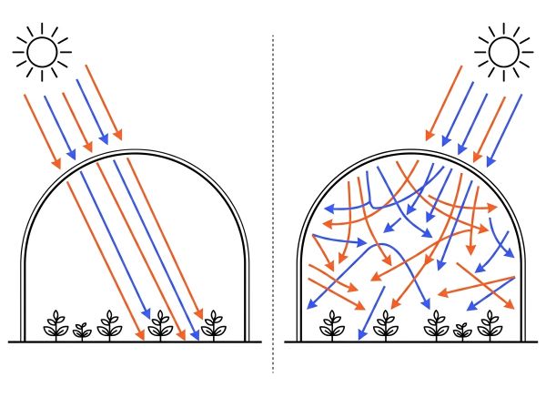Schéma comparatif bâche serre tunnel transparente et diffusante