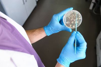 antimicrobienx