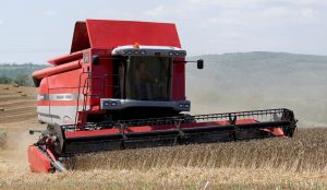 Moissonneuse batteuse Massey Ferguson