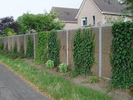 Mur anti-bruit végétalisable