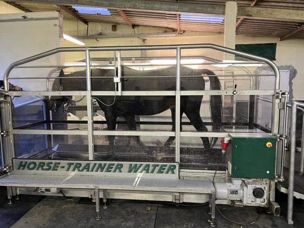 Aquatrainer Horse-Trainer