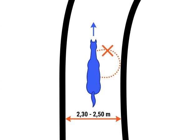 Schéma illustrant la largeur idéale du couloir