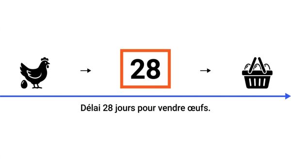 Délai 28 jours pour vendre œufs.