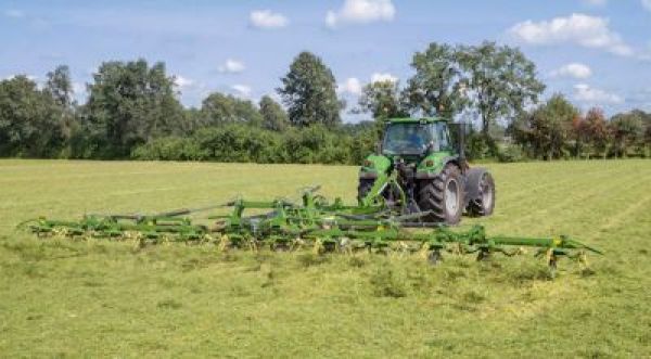 faneuse krone