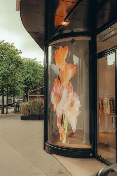 écran vitrine LED transparent écran vitrine LED transparent