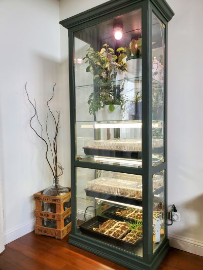 Armoire vitree vegetaux 