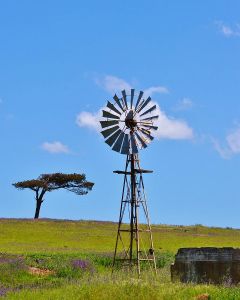 Combien coûte une éolienne de pompage ?