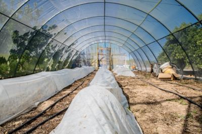 Installer irrigation tunnel agricole