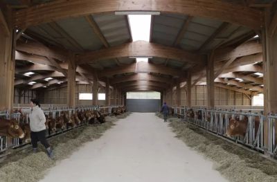 bâtiment d’élevage pour vaches laitières bâtiment d’élevage pour vaches laitières