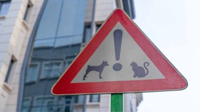 entreprise panneau de signalisation