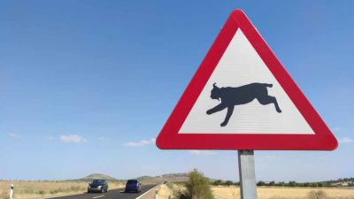 entreprise panneau signalisation