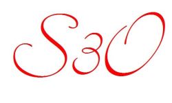 logo entreprise S3O