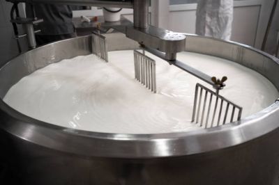 pasteurisation du lait
