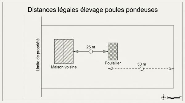 Distances légales élevage poules pondeuses