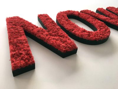 logo végétal coloré en mousse