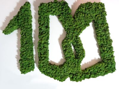 logo végétal en lichen stabilisé