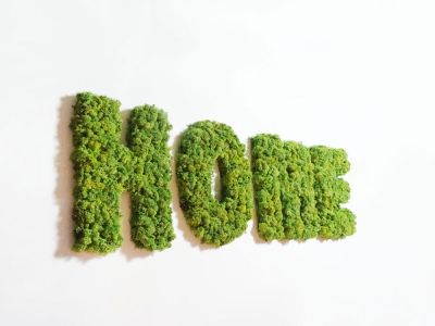 logo végétale avec plusieurs lettres