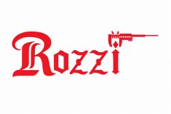 logo entreprise Rozzi