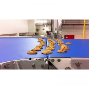Convoyeur bande cookies