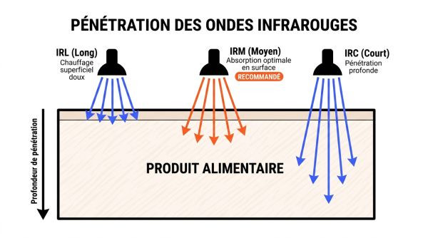 Pénétration ondes infrarouges