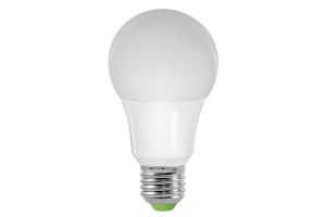 ampoule LED de chantier