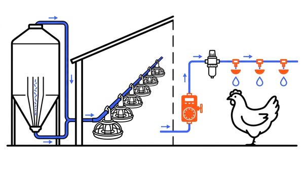 Système automatique eau et aliment poules